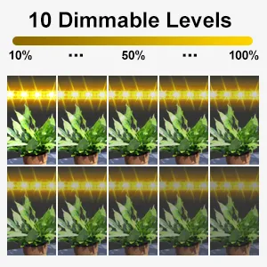 Grow Light with 10 Adjustable Brightness Levels